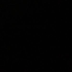 Meet your Posher, The young